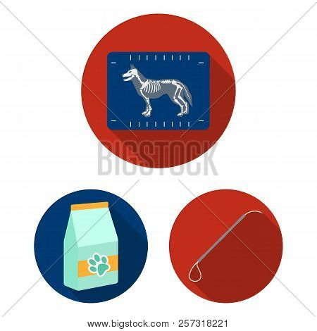 Veterinary Clinic Flat Icons In Set Collection For Design. Treatment Of A Pet Vector Symbol Stock We