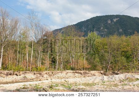 Bright Autumn Day On The Forest River. Kurdzhips River In The Krasnodar Region.