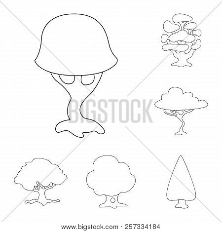 Vector Design Of Tree And Nature Logo. Collection Of Tree And Crown Vector Icon For Stock.