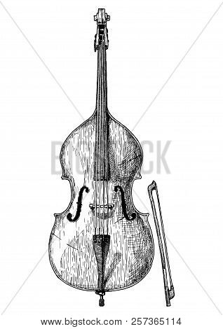 Vector Hand Drawn Illustration Of Double Bass In Vintage Engraved Style. Isolated On White Backgroun