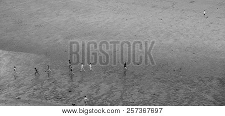 Children Playing Happily On The Beach At King Edward's Bay Seen From A High Viewpoint. Monochrome Im