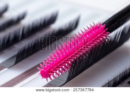Eyelash Extension Procedure. Set Lashes Close Up Pink Comb