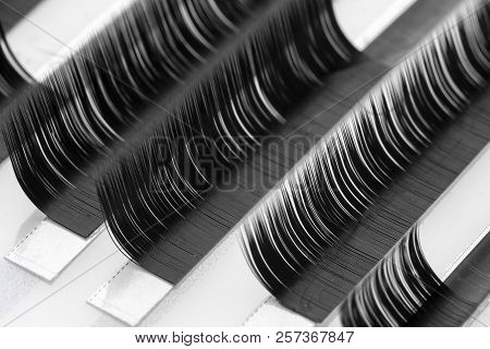 Eyelash Extension Procedure. Set Lashes Close Up.