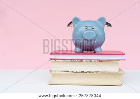 Savings For Educaion Concept, Piggy Bank In Glasses On Pile Of Books