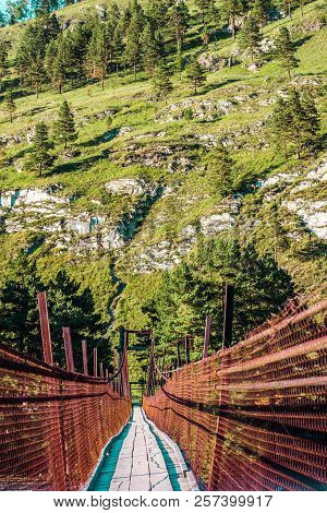The Republic Of Altai Attractions Are Mountain Bridges And Views Of The Beautiful Altai