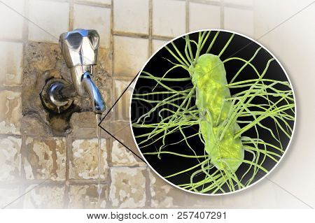 Safety Of Drinking Water Concept, 3d Illustration Showing Escherichia Coli Bacteria Contaminating Dr