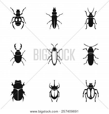 Order Coleoptera Icons Set. Simple Illustration Of 9 Order Coleoptera Icons For Web
