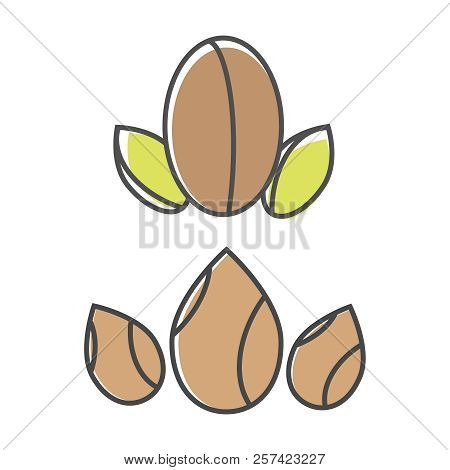 Almond And Argan Oil Icon. Almond Oil Logo. Argan Oil Vector Logo