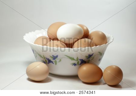Eggs1