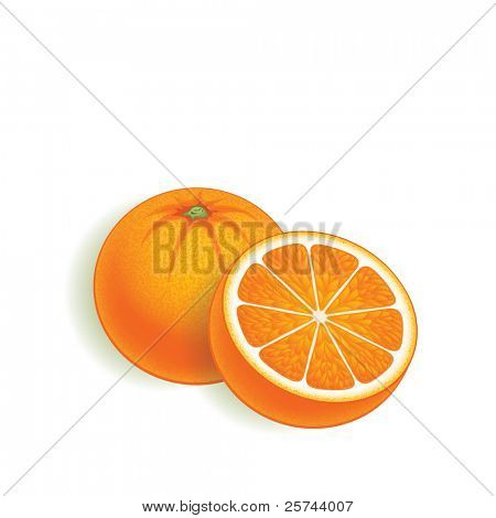 laranja, vetor