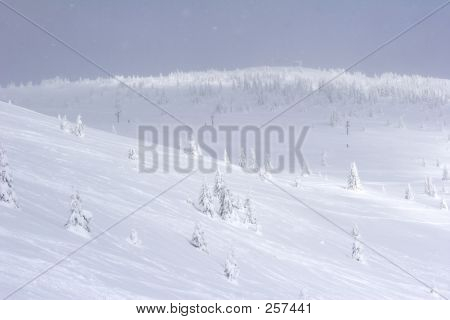 Sneeuw bedekt berghelling