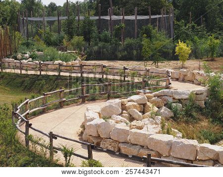 Photography That Is Showing A Tortuous Pathway