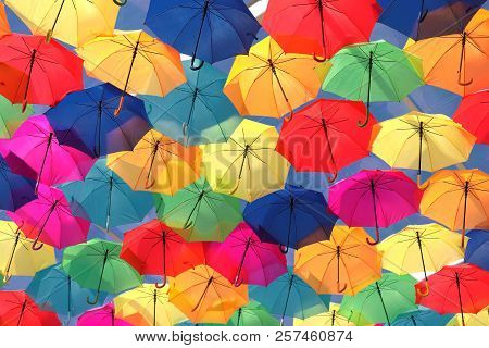 Umbrellas