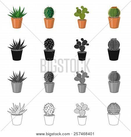 Isolated Object Of Cactus And Pot Icon. Set Of Cactus And Cacti Vector Icon For Stock.
