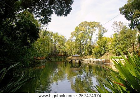 Lake In The Infante Don Pedro Park In Aveiro, Portugal