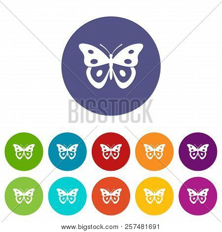 Butterfly Pierid Set Icons In Different Colors Isolated On White Background