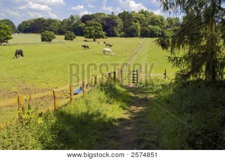 Ragley Hall
