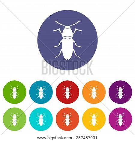 Cereal Leaf Beetle Set Icons In Different Colors Isolated On White Background
