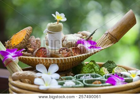 Thai Herb Flower And Fruits Use In Spa,herbal Spa Balls For Treatment Or Massage With Herb Bergamot 