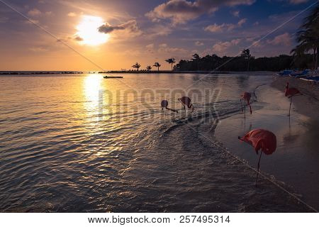 Calm Landscape In The Beach With Flamingos Resting At The Coast
