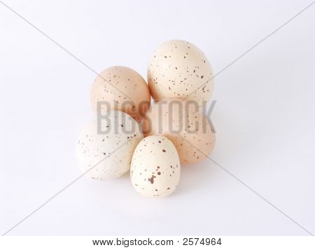 Speckled Eggs