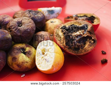 Lots Of Roten Fruits. Apples, Lemon, Garnet Molden Dark And Dried Up. Environment Conversion Concept