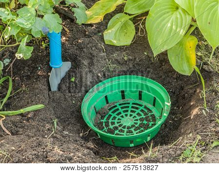 Basket For Planting Bulbous Plants