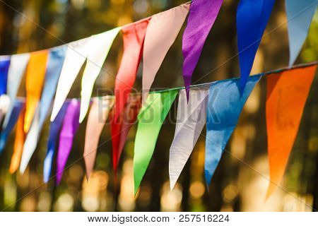 Carnival Garland With Flags, Decorative Party Pennants For Birthday Celebration, Festival And Fair D