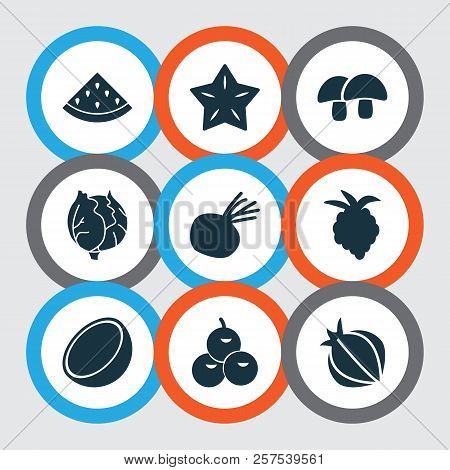 Food Icons Set With Clove, Cocoanut, Raspberry And Other Carambola Elements. Isolated Vector Illustr