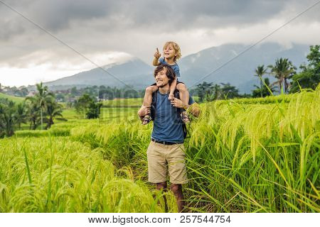 Dad And Son Travelers On Beautiful Jatiluwih Rice Terraces Against The Background Of Famous Volcanoe