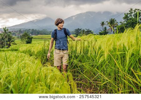 Young Man Traveler On Beautiful Jatiluwih Rice Terraces Against The Background Of Famous Volcanoes I