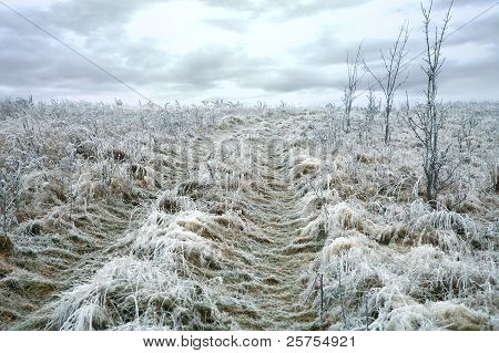 서리로 덥은 비포장도로