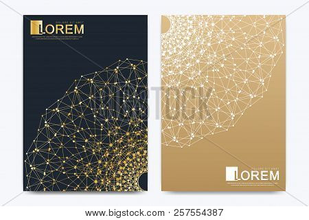 Modern Vector Template For Brochure Leaflet Flyer Cover Catalog Magazine Or Annual Report. Golden La
