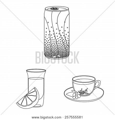Vector Illustration Of Drink And Bar Symbol. Set Of Drink And Party Stock Vector Illustration.
