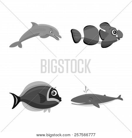 Vector Design Of Sea And Animal Sign. Collection Of Sea And Marine Stock Vector Illustration.