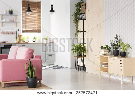 Plants On Wooden Cupboard In White Flat Interior With Pink Sofa Next To Kitchenette. Real Photo