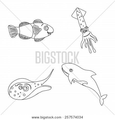 Isolated Object Of Sea And Animal Logo. Set Of Sea And Marine Stock Symbol For Web.