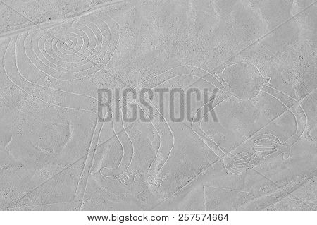 The Monkey - Nasca Lines - Peru