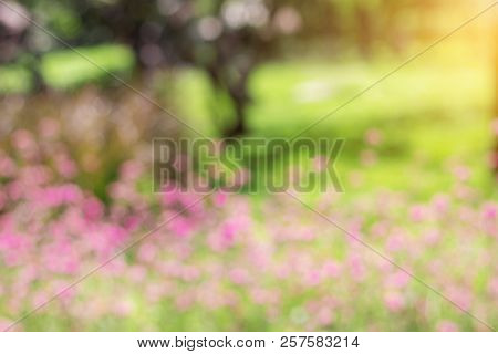 Pink Flower With Blur In The Garden.
