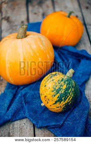 Autumn Pumpkin Thanksgiving Background - Orange Pumpkins Over Wooden Table. Mottled Orange-green Pum