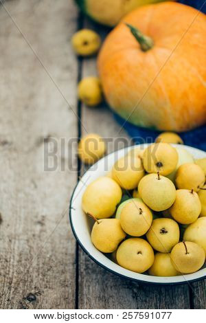 A Bowl Full Of Apples And Pears Next To The Orange Pumpkin, A Senior