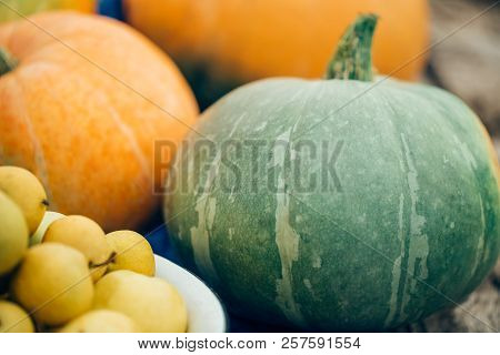 Close-up Green Big Pumpkin With Apples, Selective Focus