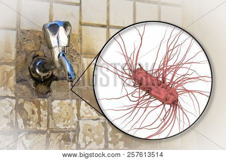 Safety Of Drinking Water Concept, 3d Illustration Showing Escherichia Coli Bacteria Contaminating Dr
