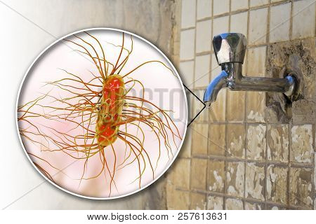 Safety Of Drinking Water Concept, 3d Illustration Showing Escherichia Coli Bacteria Contaminating Dr