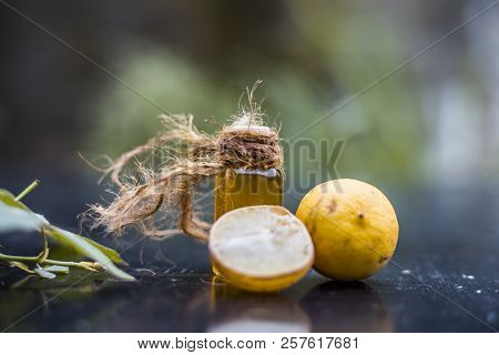 Close Up Of Floral And Herbal Essence Of Lemon Or Limbo Or Citrus × Limon In A Transparent Bottle Wi