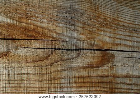 Tump Of Oak Tree Felled - Section Of The Trunk With Annual Rings.