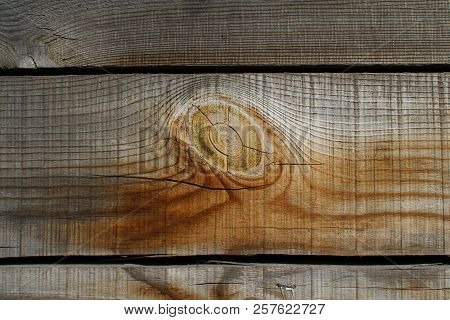 Tump Of Oak Tree Felled - Section Of The Trunk With Annual Rings.