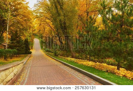 Panorama Of The Fragment Of The Park In Mezhyhiria Near Kiev.