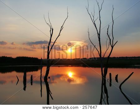 Die müde Sonne