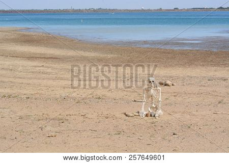 Skeleton Sitting On Dry Lake Bed From Low Water Level At Lake Standley Reservoir In Westminster Colo